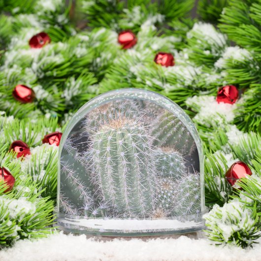 Cactus Snow Globe (クリスマス)