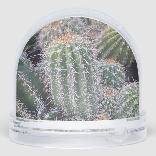 Cactus Snow Globe (裏面)