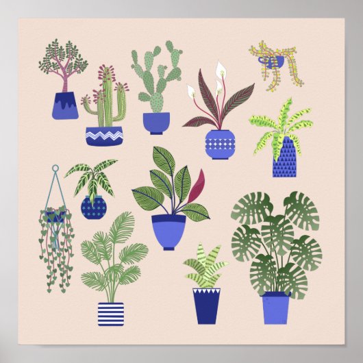 Cactus Succulent Houseplant Pink ポスター (正面)