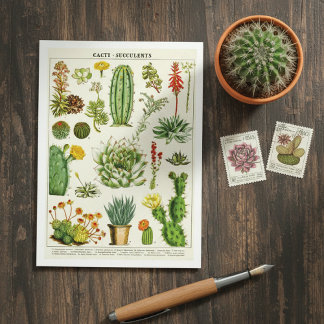 Cactus Succulents Botanical Illustration Postcard ポストカード
