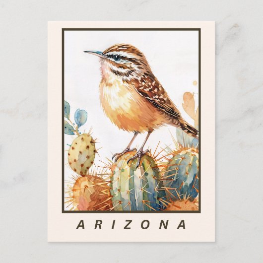 Cactus Wren Desert Bird Arizona State ポストカード (正面)