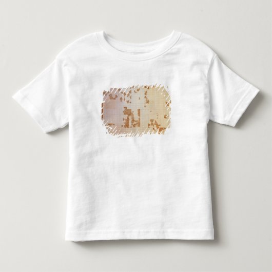 cadastreの残り トドラーTシャツ (正面)
