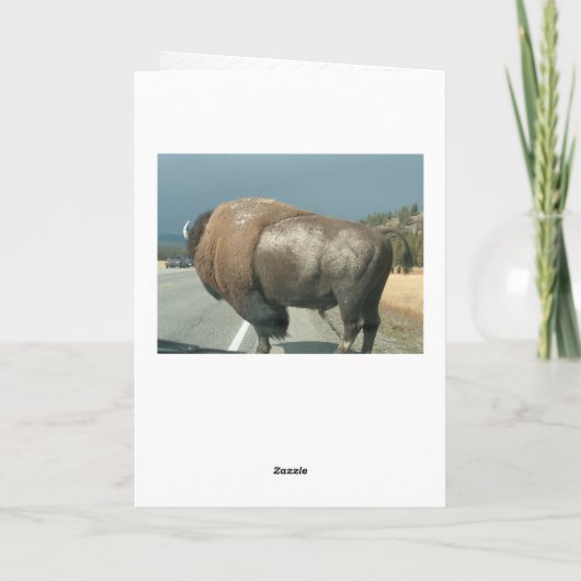 Cadenの誕生日 カード (裏面)