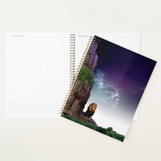 Caderno de agenda estelar  プランナー手帳 (ディスプレー)