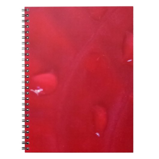 Caderno Espiral com Foto ノートブック (正面)