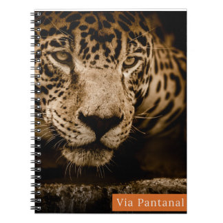 Caderno Via Pantanal Onça ノートブック