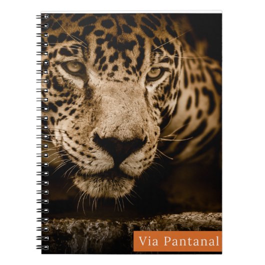 Caderno Via Pantanal Onça ノートブック (正面)