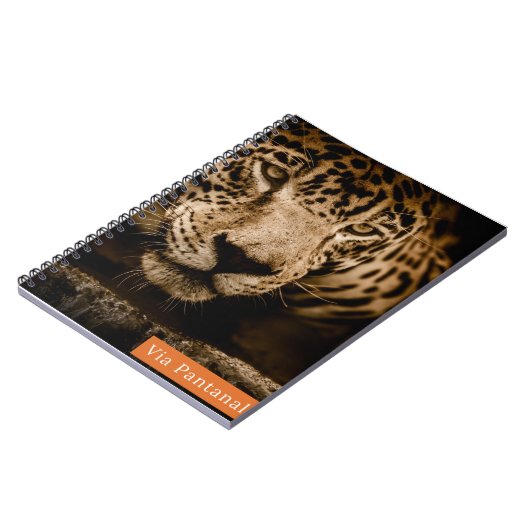 Caderno Via Pantanal Onça ノートブック (左側)