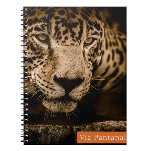 Caderno Via Pantanal Onça ノートブック (正面)