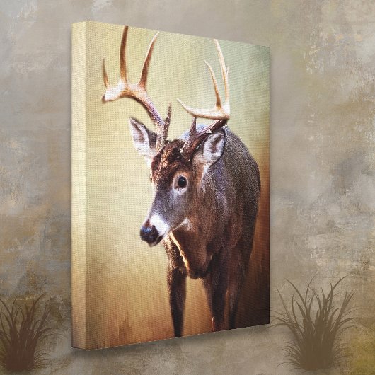 Cades Cove Buck Canvas Print キャンバスプリント