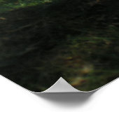 Cades Cove field ポスター (角)