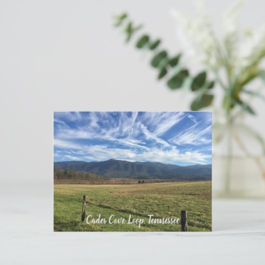 Cades Cove Loop, TN - Open Field View ポストカード (スタンド正面)