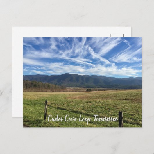 Cades Cove Loop, TN - Open Field View ポストカード (正面/裏面)