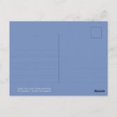 Cades Cove Wildlife - Great Smoky Mountains ポストカード (裏面)