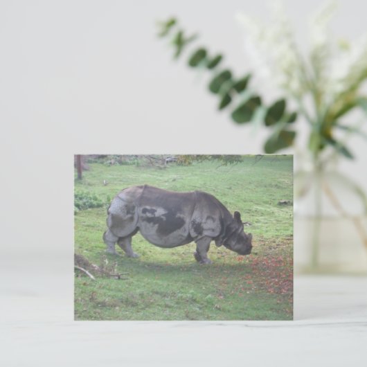 CAE5ULC1 ポストカード (スタンド正面)