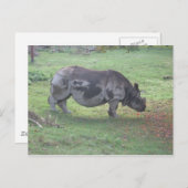 CAE5ULC1 ポストカード (正面/裏面)