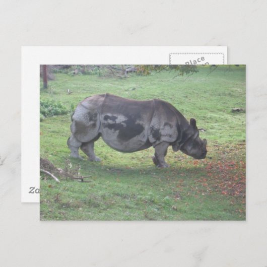 CAE5ULC1 ポストカード (正面/裏面)