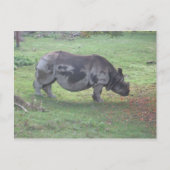 CAE5ULC1 ポストカード (正面)