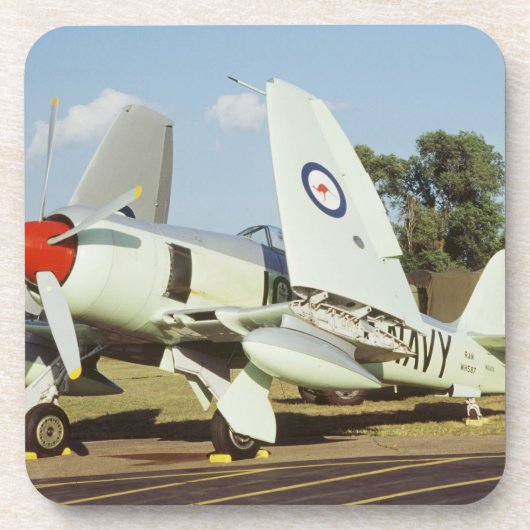 CAFののミネソタの翼の行商人の海の激怒、 コースター (正面)