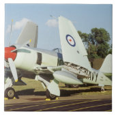 CAFののミネソタの翼の行商人の海の激怒、 タイル (正面)