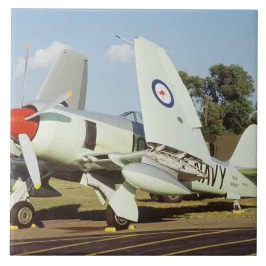 CAFののミネソタの翼の行商人の海の激怒、 タイル (正面)