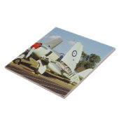 CAFののミネソタの翼の行商人の海の激怒、 タイル (側面)