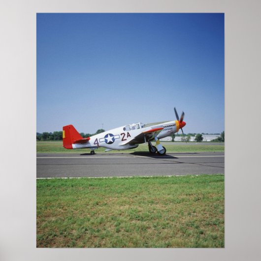CAFエアショーのP-51Cツスキギー・レッドテイル航空機 ポスター (正面)