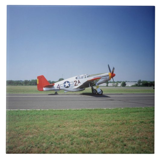CAF エアショーでの P-51 C タスキーギ・レッドテイル機 タイル (正面)