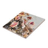 Caicosのビーチ|のトルコ人および写真の貝殻 タイル (側面)