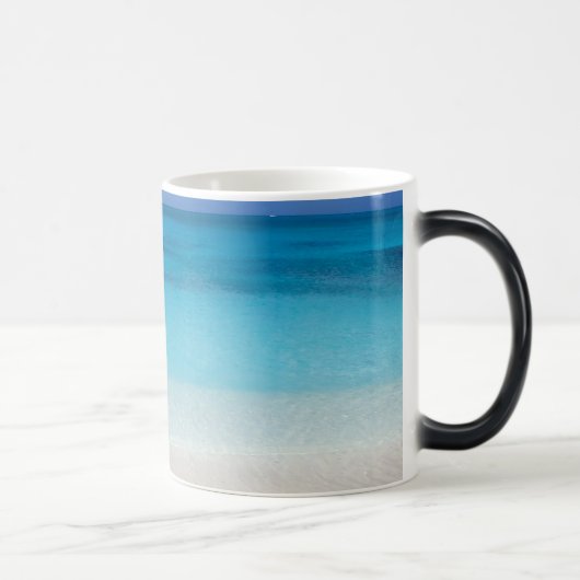 Caicosの風下のビーチ|のトルコ人および写真 モーフィングマグカップ (右)
