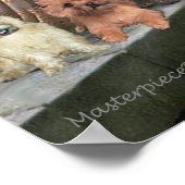 Cainn Teriers (3) – アコレード ポスター (角)