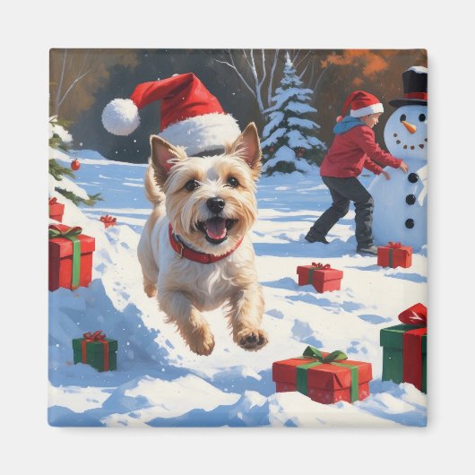 Cainn Terrier走 Christmas Hatで雪の中 マグネット (正面)
