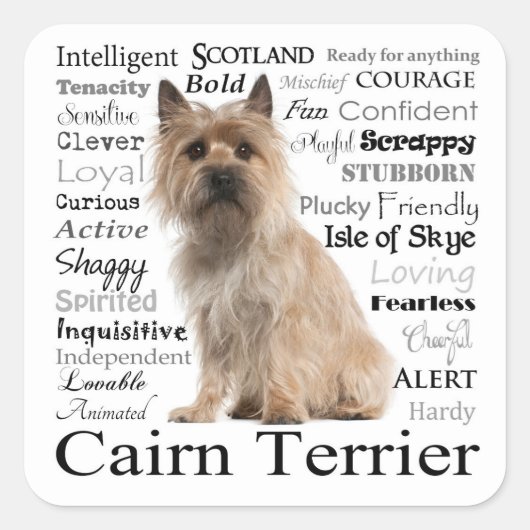 Cairn Terrierは特徴のステッカーを選ぶ スクエアシール (正面)