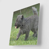 cairn-terrier-2.jpg スクエア壁時計 (傾斜)