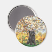 Cairn Terrier (Brindle 21) -春 マグネット (正面/裏面)