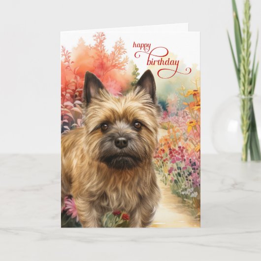 Cairn Terrier Dog Birthday Wishes Garden Path カード (正面)