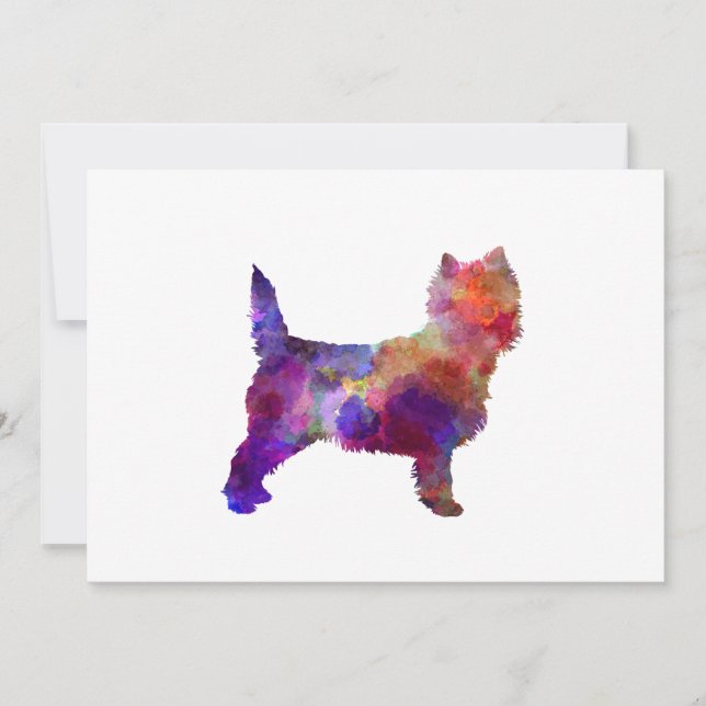 Cairn Terrier in watercolor (正面)