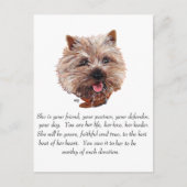 Cairn Terrier Keepsake - WOMAN ポストカード (正面)