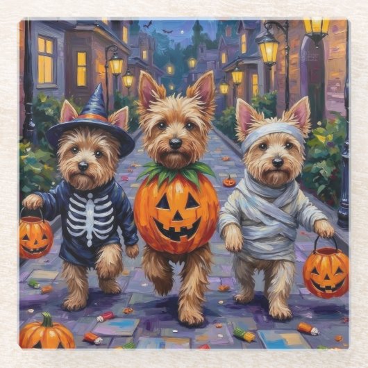 Cairn Terrier Trick-or-Treating Halloween Costumes ガラスコースター (正面)