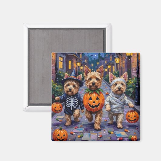 Cairn Terrier Trick-or-Treating Halloween Costumes マグネット (正面/裏面)