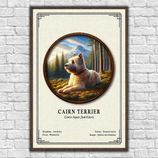 Cairn Terrier Zoology Series ポスター