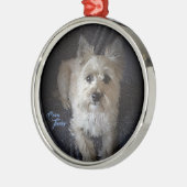 Cairntensityの優れた円形のオーナメント メタルオーナメント (左)