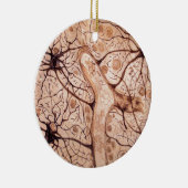 Cajalのニューロン3 セラミックオーナメント (右)