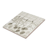 Cajalのニューロン8 タイル (側面)