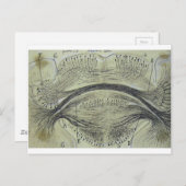 Cajalの脊髄ニューロン – 5 ポストカード (正面/裏面)