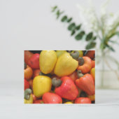 Cajuのmãeのnatureza ポストカード (スタンド正面)