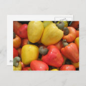 Cajuのmãeのnatureza ポストカード (正面/裏面)