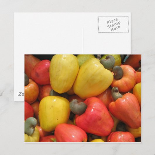 Cajuのmãeのnatureza ポストカード (正面/裏面)