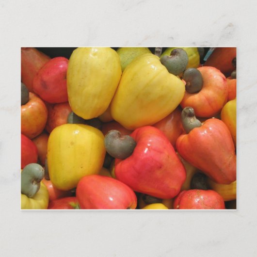 Cajuのmãeのnatureza ポストカード (正面)