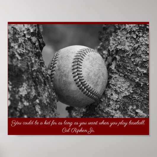 Cal Ripken Baseball Poster ポスター (正面)